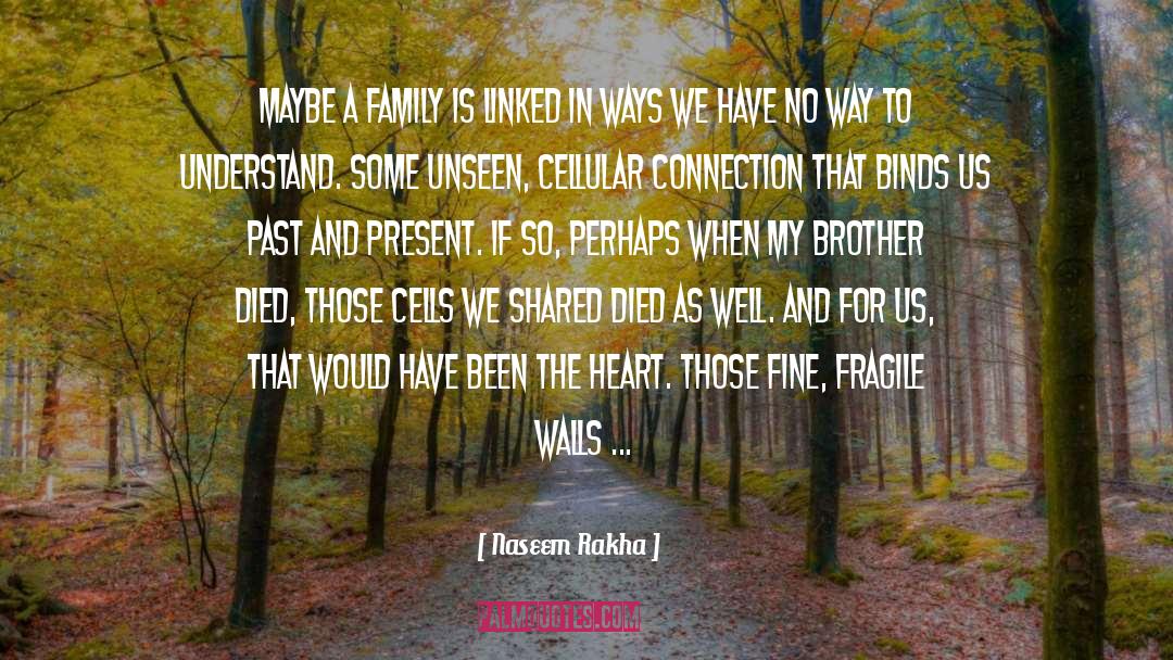 Embrace Life quotes by Naseem Rakha
