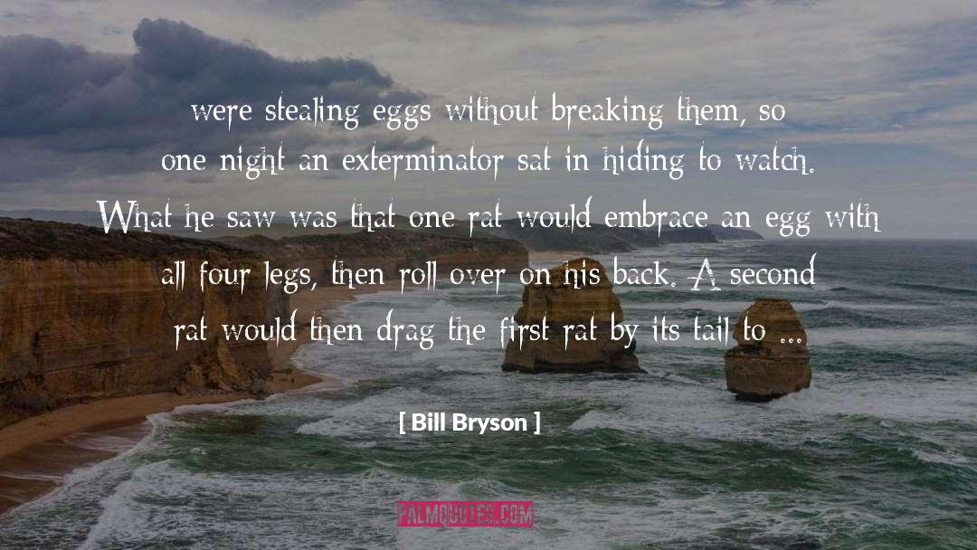 Embrace Optimism quotes by Bill Bryson