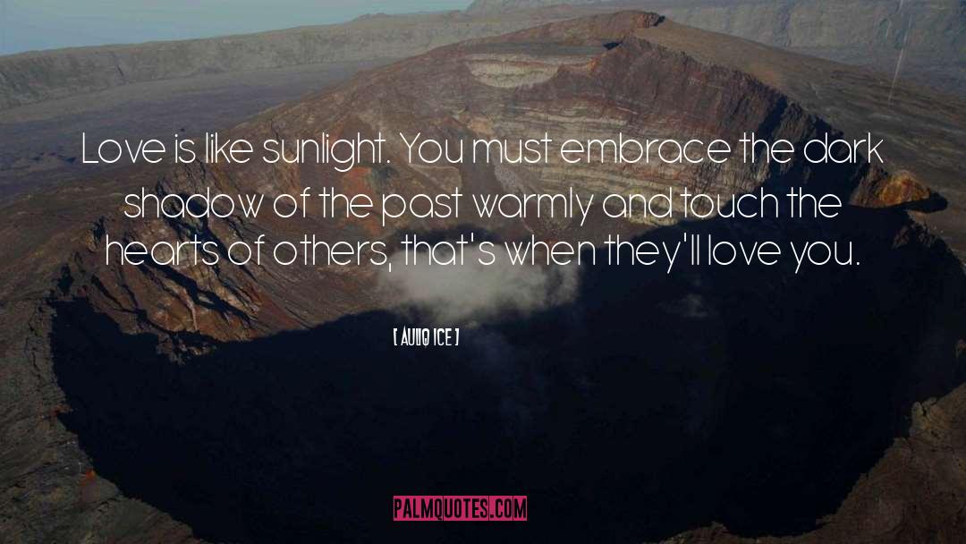 Embrace Series quotes by Auliq Ice