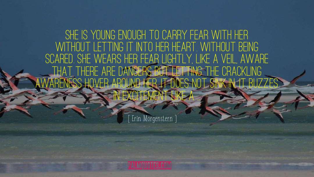 Embracing Fear quotes by Erin Morgenstern