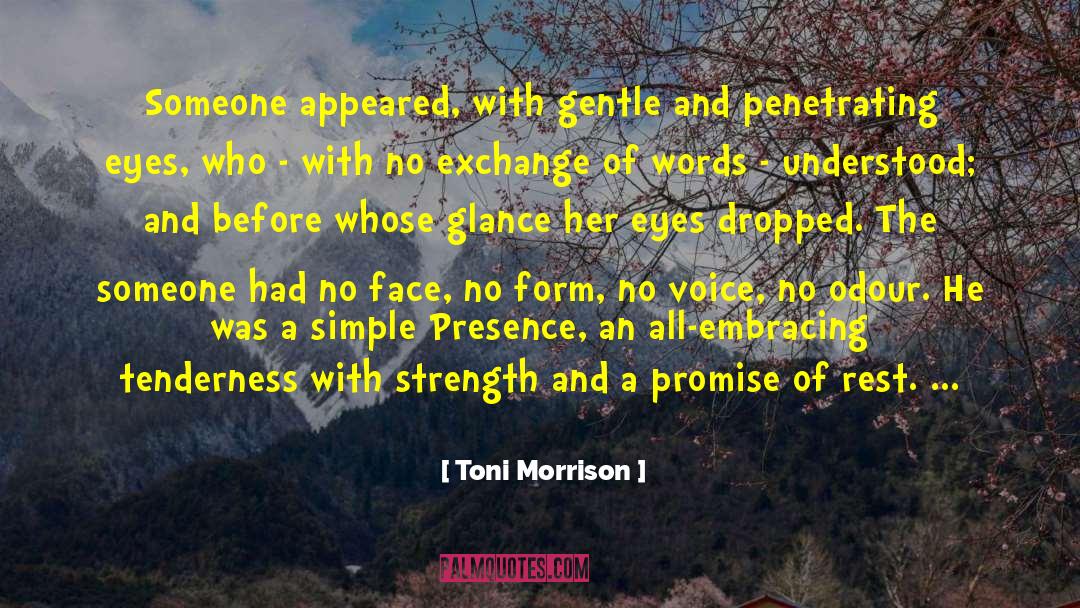 Embracing quotes by Toni Morrison
