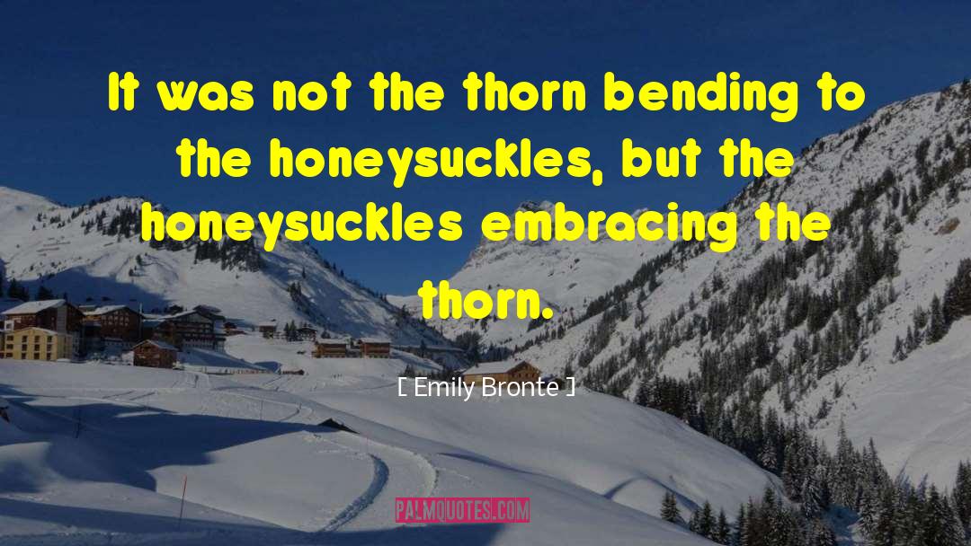 Embracing Singlehood quotes by Emily Bronte