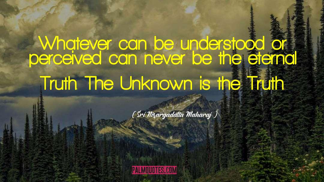 Embracing The Unknown quotes by Sri Nisargadatta Maharaj