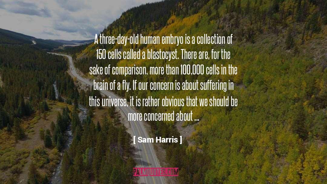 Embryo quotes by Sam Harris