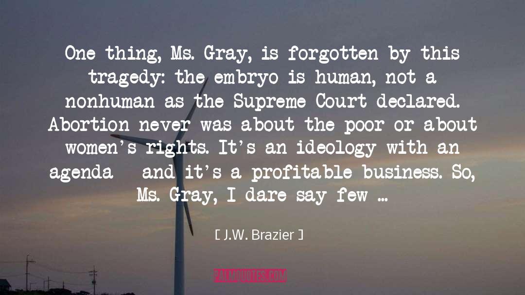 Embryo quotes by J.W. Brazier