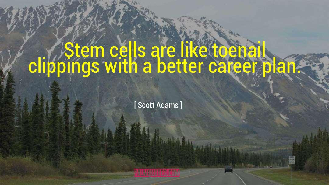 Embryonic Stem Cells quotes by Scott Adams