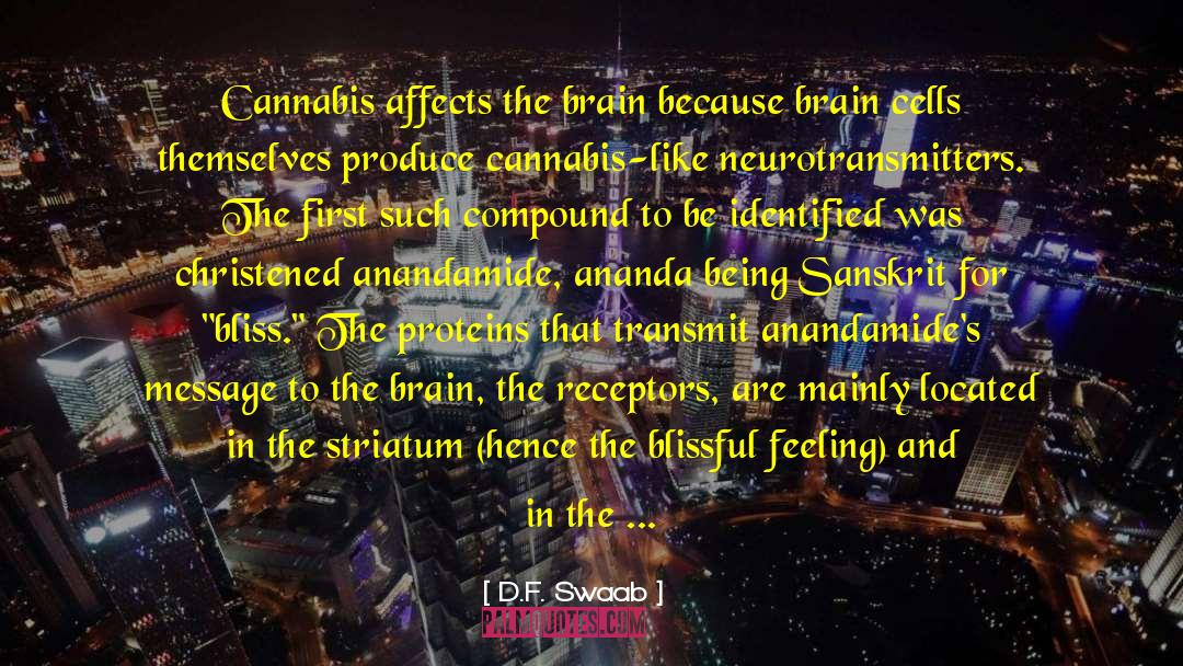 Embryonic Stem Cells quotes by D.F. Swaab