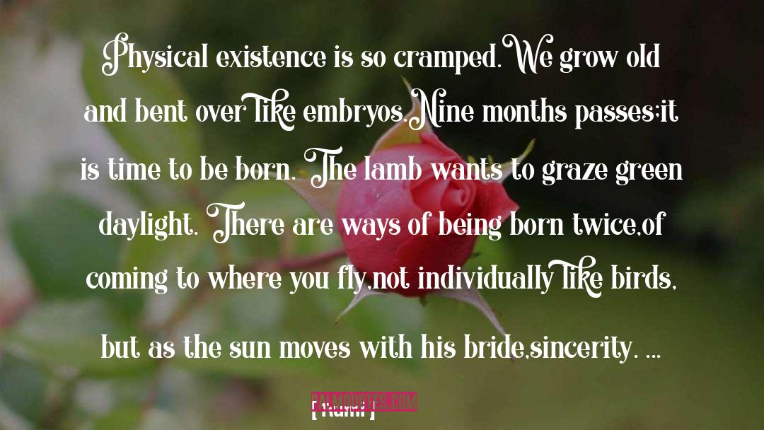 Embryos quotes by Rumi