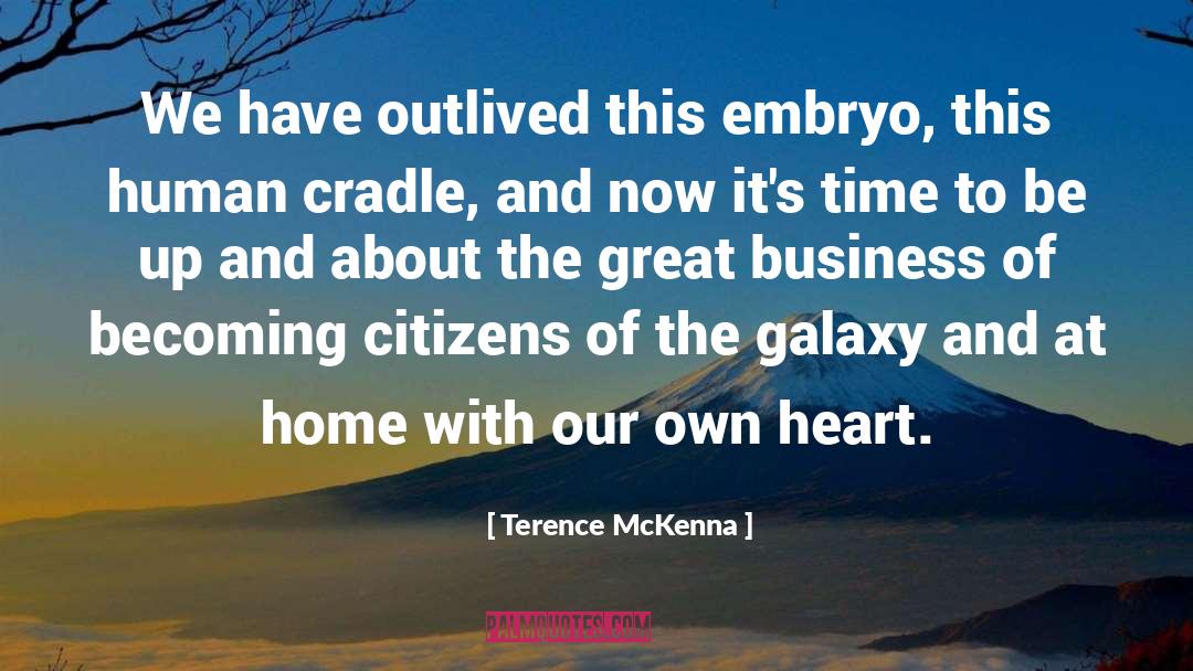 Embryos quotes by Terence McKenna
