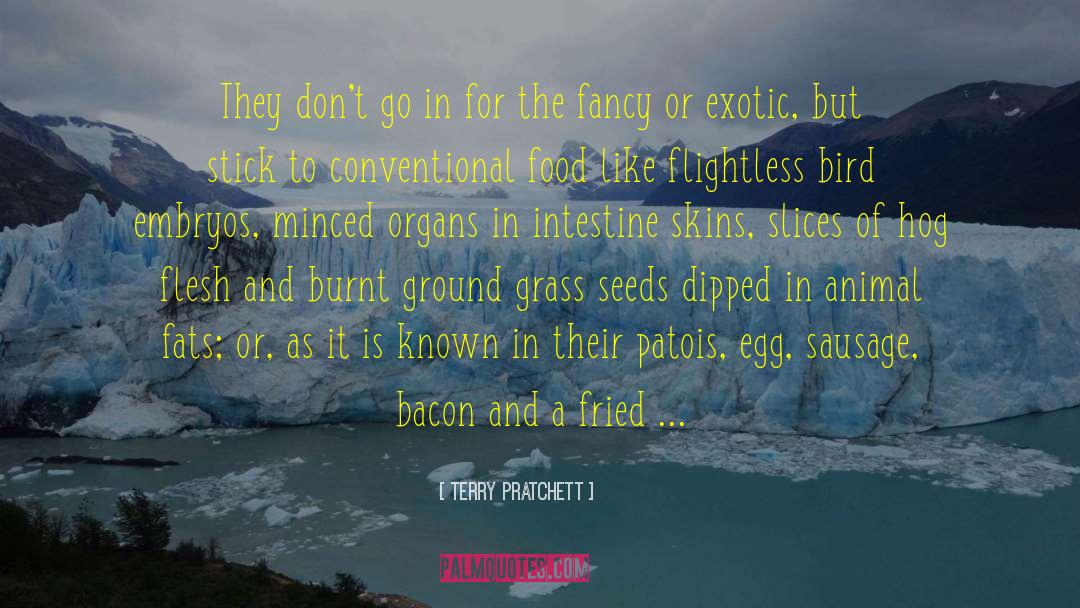 Embryos quotes by Terry Pratchett