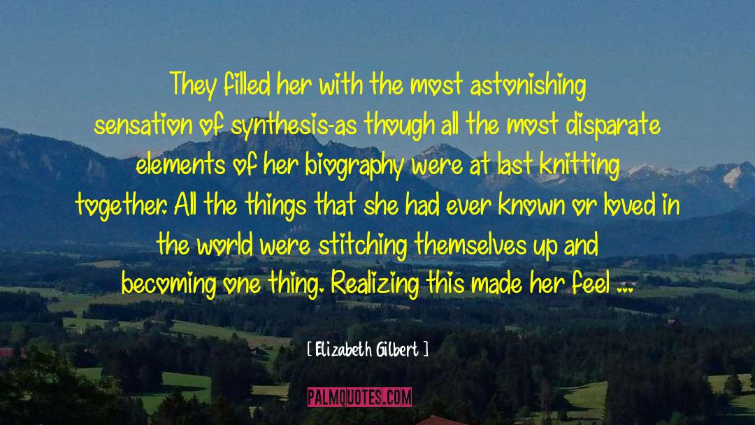 Emeagwali Biography quotes by Elizabeth Gilbert