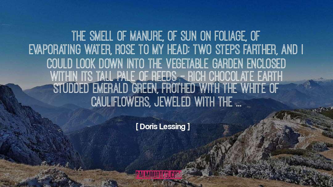 Emerald Green quotes by Doris Lessing