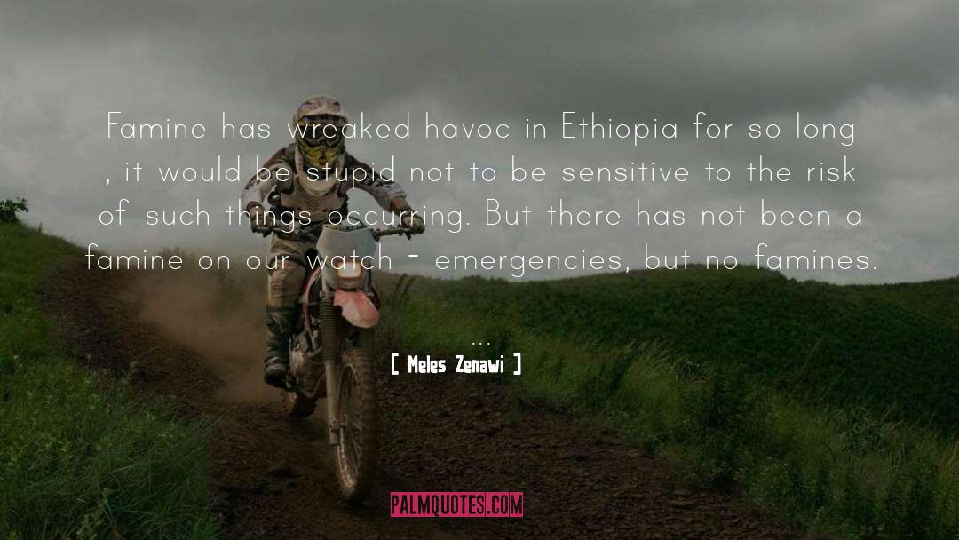 Emergencies quotes by Meles Zenawi