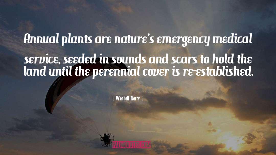 Emergency Dental Treatment quotes by Wendell Berry