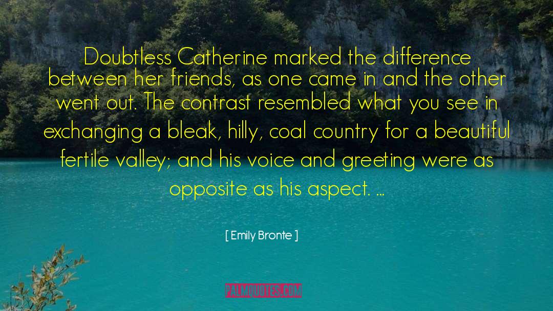 Emily May quotes by Emily Bronte