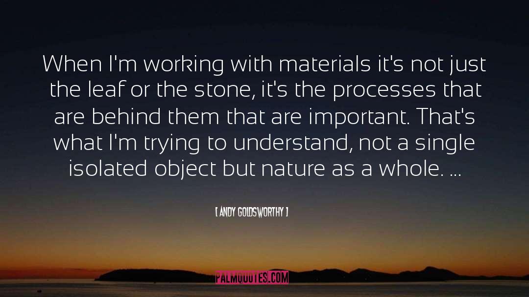 Emily Stone quotes by Andy Goldsworthy