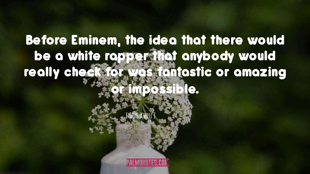 Eminem quotes by Talib Kweli