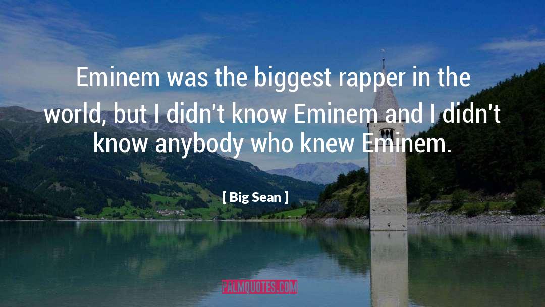 Eminem quotes by Big Sean