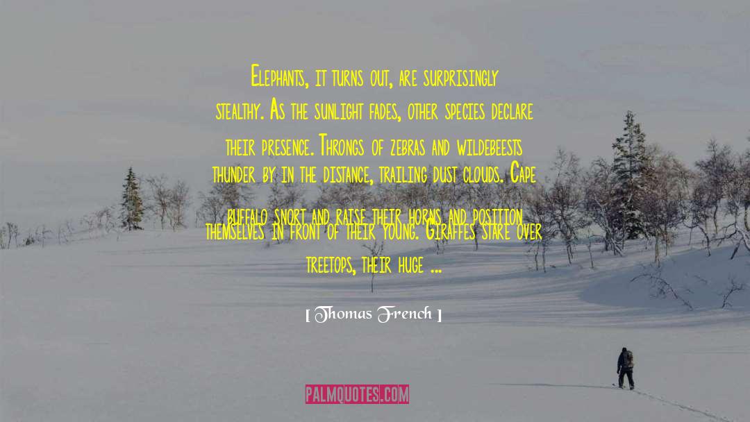 Emma Thomas quotes by Thomas French