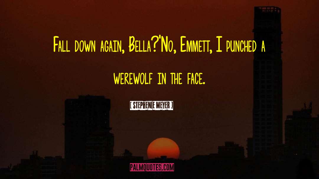 Emmet Cullen quotes by Stephenie Meyer