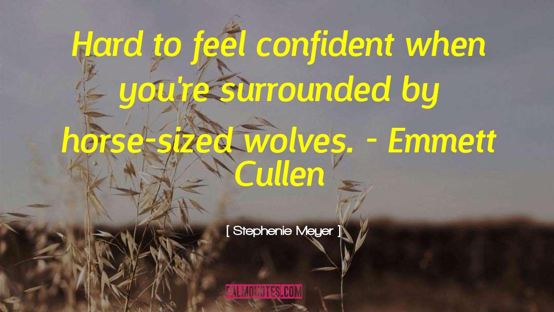 Emmett quotes by Stephenie Meyer