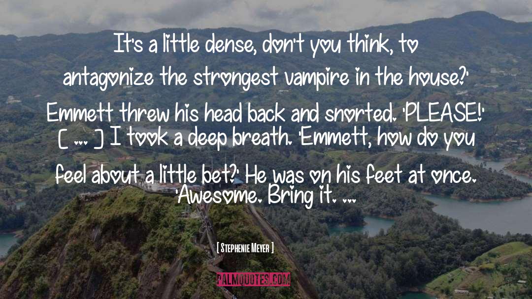 Emmett quotes by Stephenie Meyer