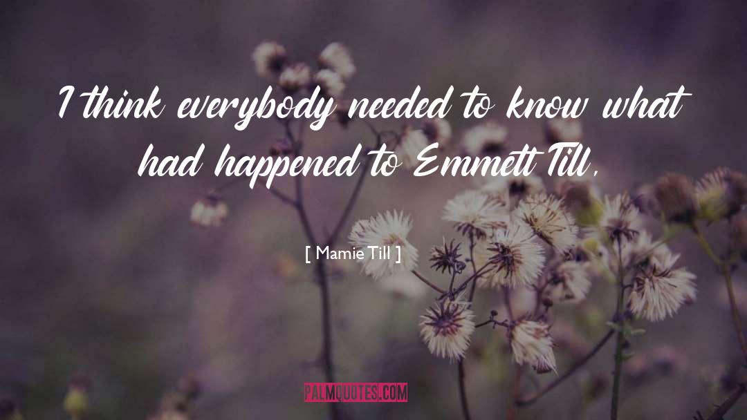 Emmett Till quotes by Mamie Till