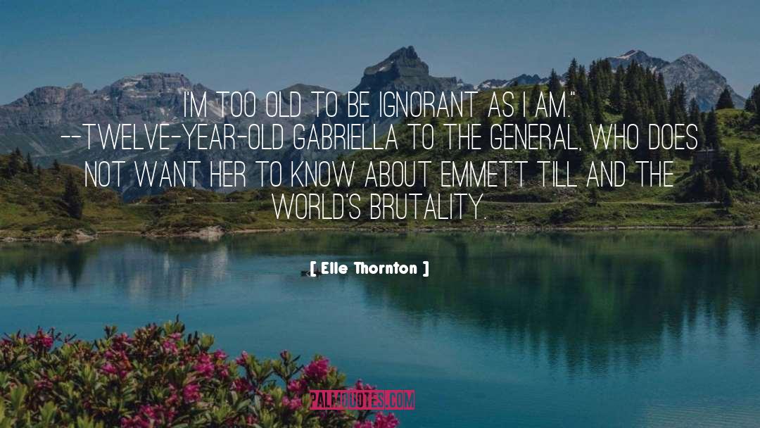 Emmett Till quotes by Elle Thornton