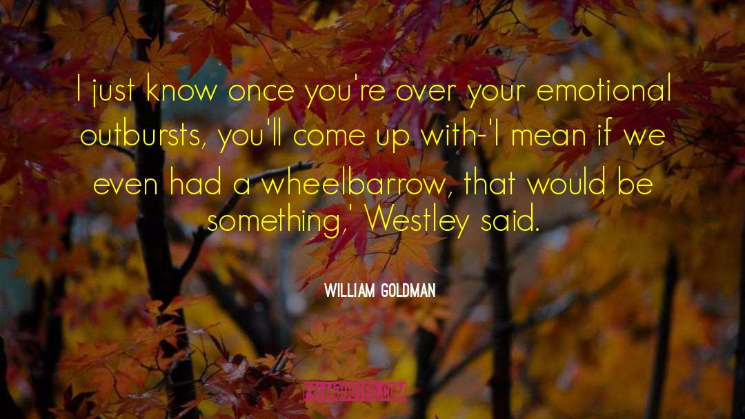 Emotional Anguish quotes by William Goldman