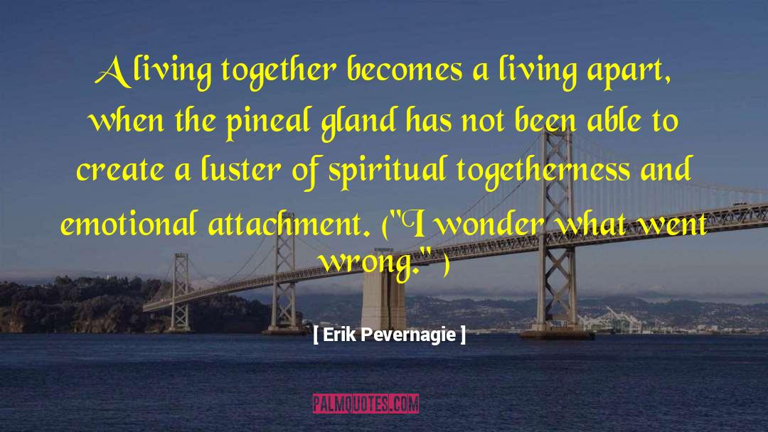 Emotional Attachment quotes by Erik Pevernagie