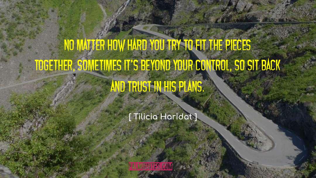 Emotional Control quotes by Tilicia Haridat