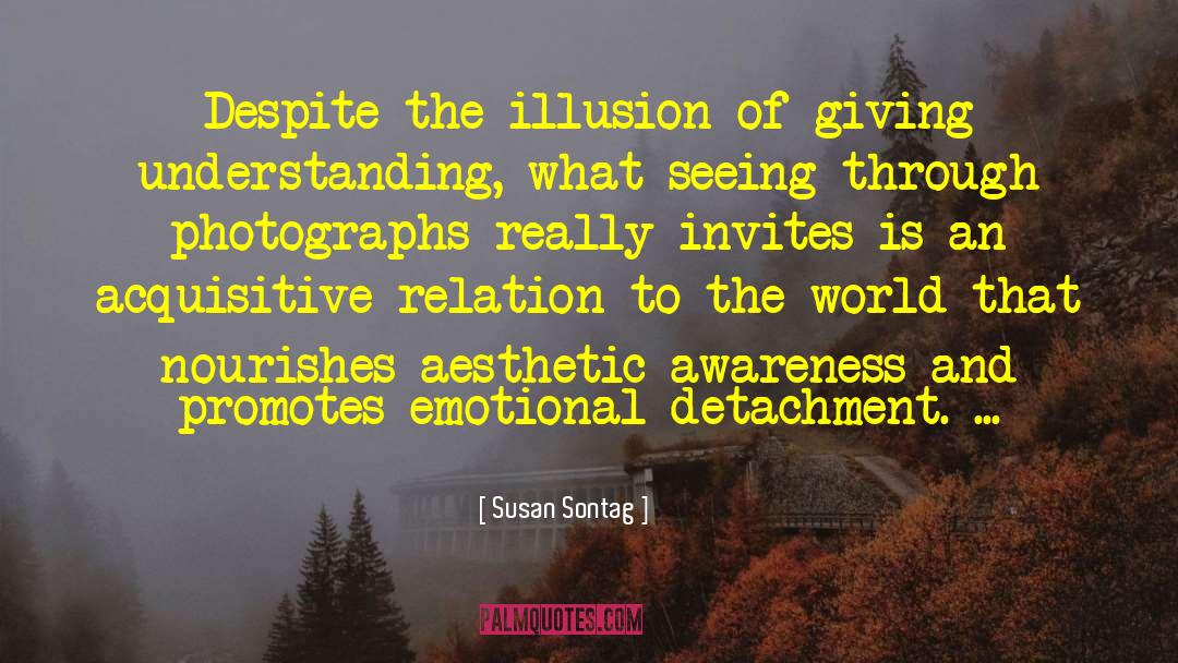 Emotional Detachment quotes by Susan Sontag