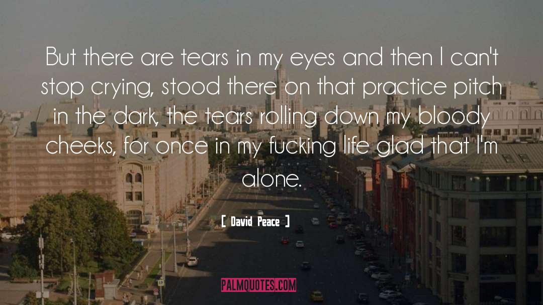 Emotional Flashback quotes by David Peace