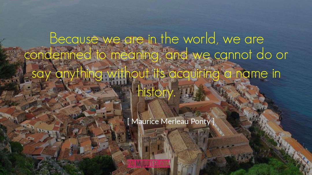 Emotional History quotes by Maurice Merleau Ponty