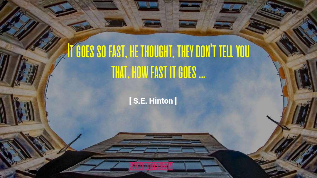 Emotional Life quotes by S.E. Hinton