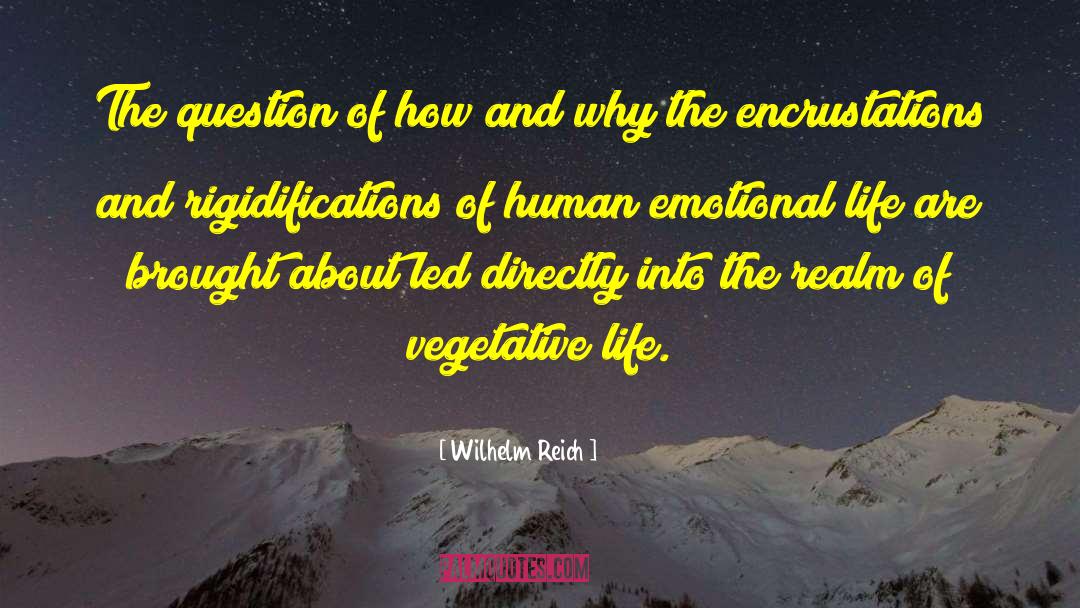 Emotional Life quotes by Wilhelm Reich