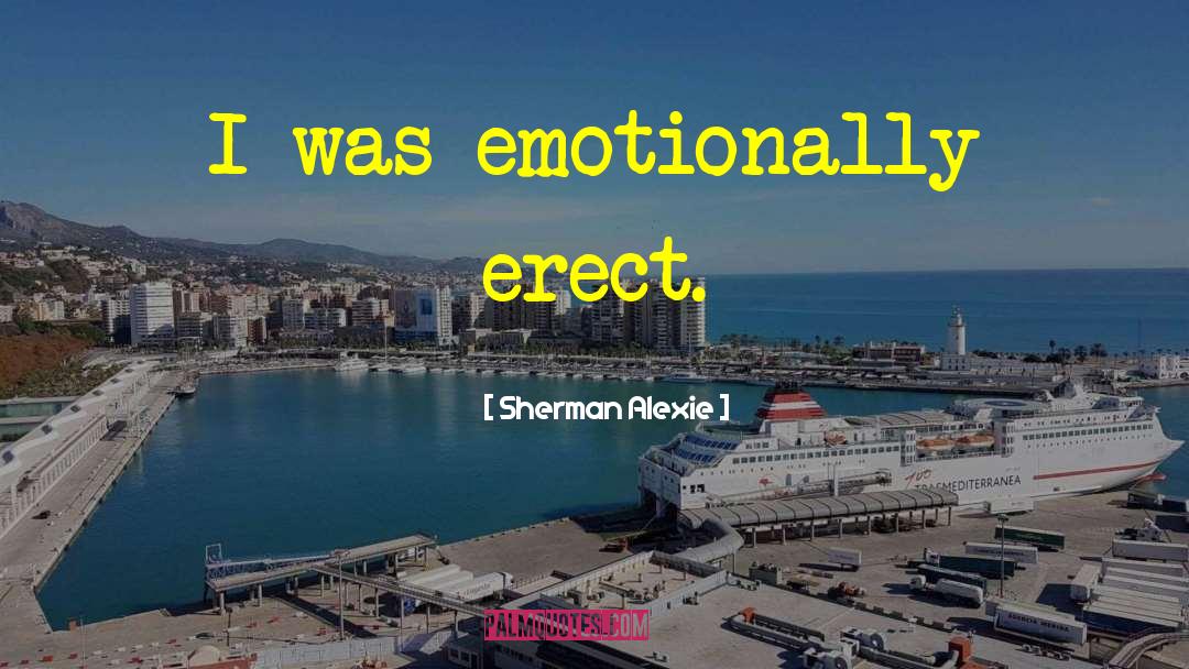 Emotional Turmoil quotes by Sherman Alexie