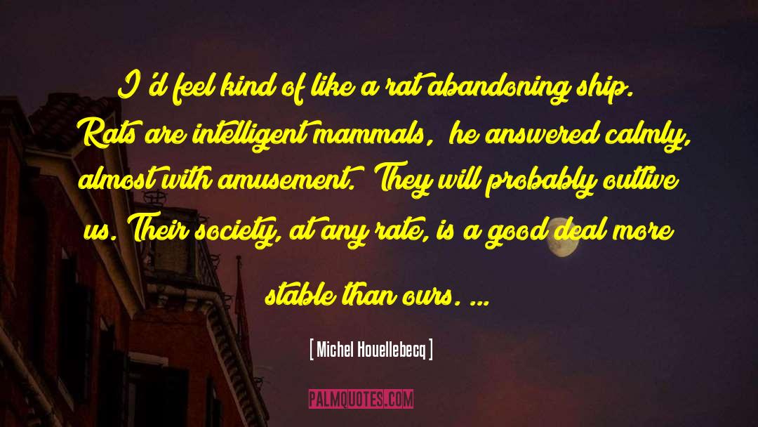 Emotionally Intelligent quotes by Michel Houellebecq