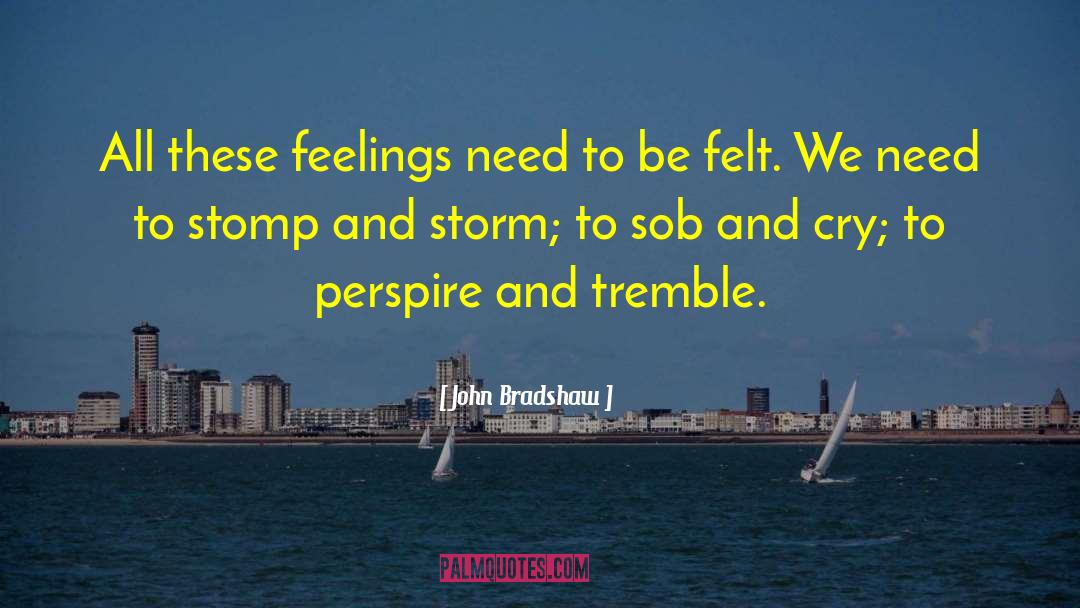 Emotions And Feelings quotes by John Bradshaw