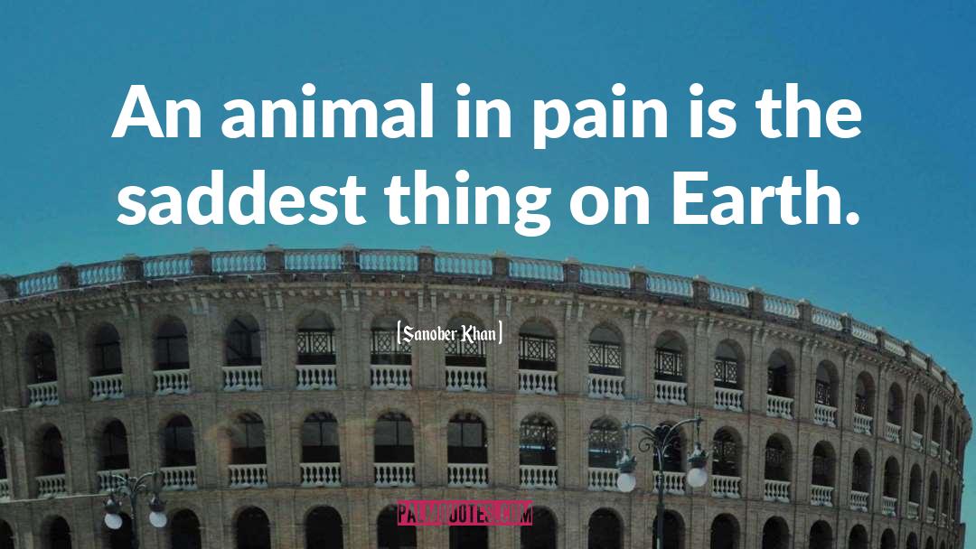 Empathy Animal quotes by Sanober Khan