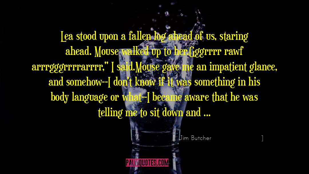 Empeorar In English quotes by Jim Butcher