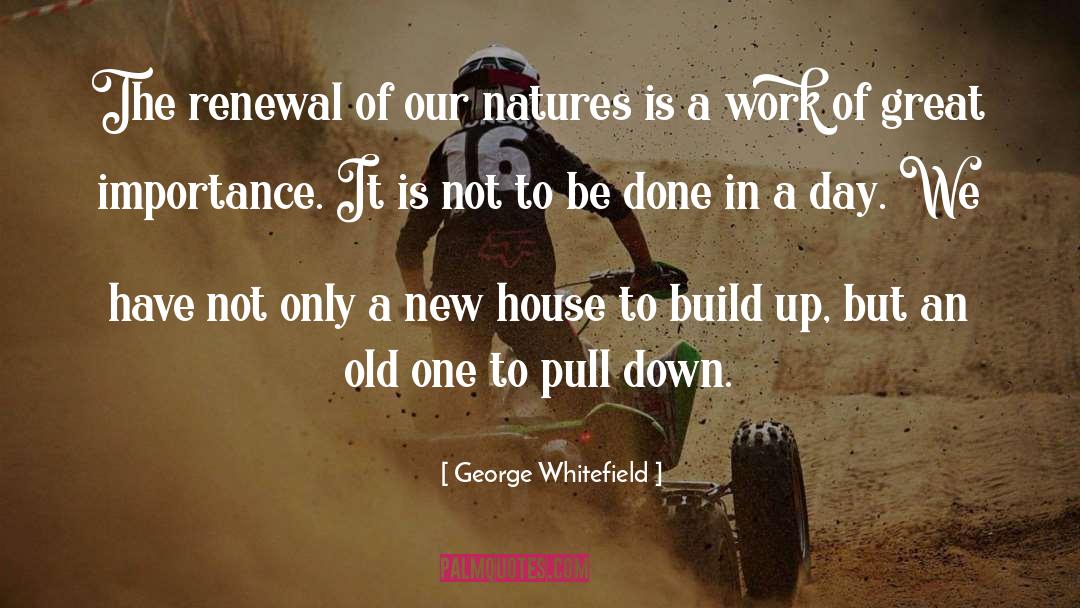 Emphasizes The Importance quotes by George Whitefield