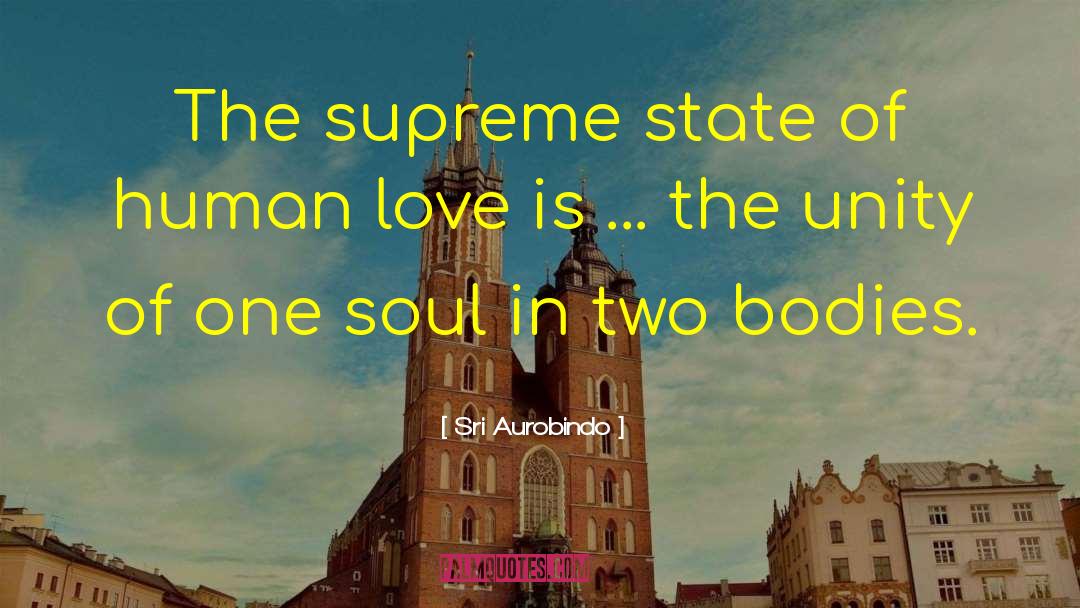 Empire State quotes by Sri Aurobindo