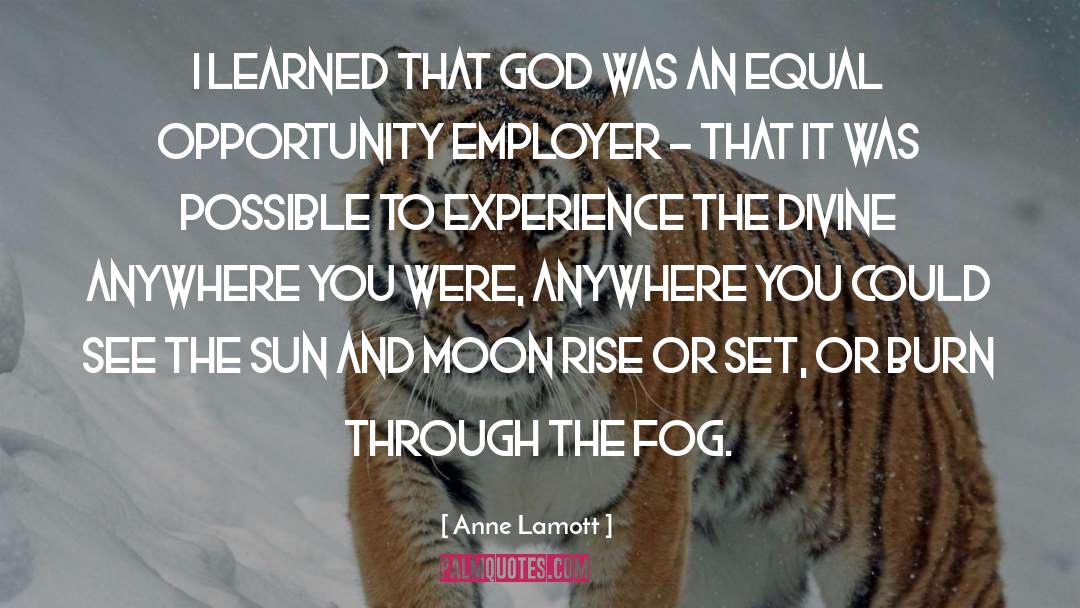 Employer quotes by Anne Lamott