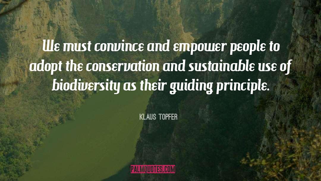 Empowering Beliefs quotes by Klaus Topfer