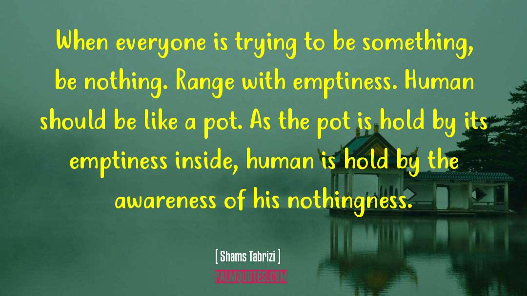 Emptiness Inside quotes by Shams Tabrizi