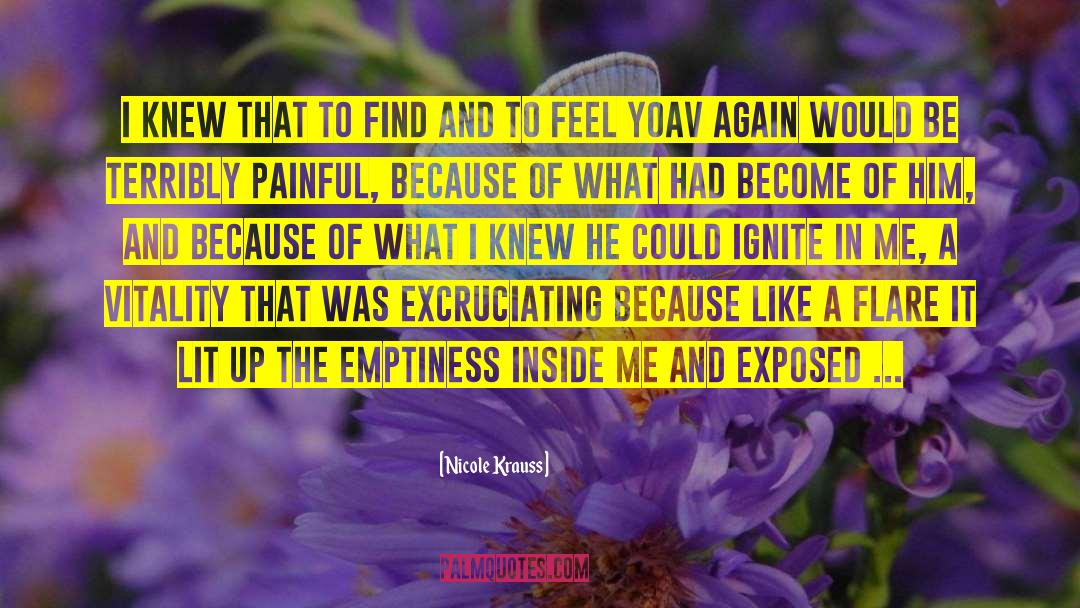 Emptiness Inside quotes by Nicole Krauss