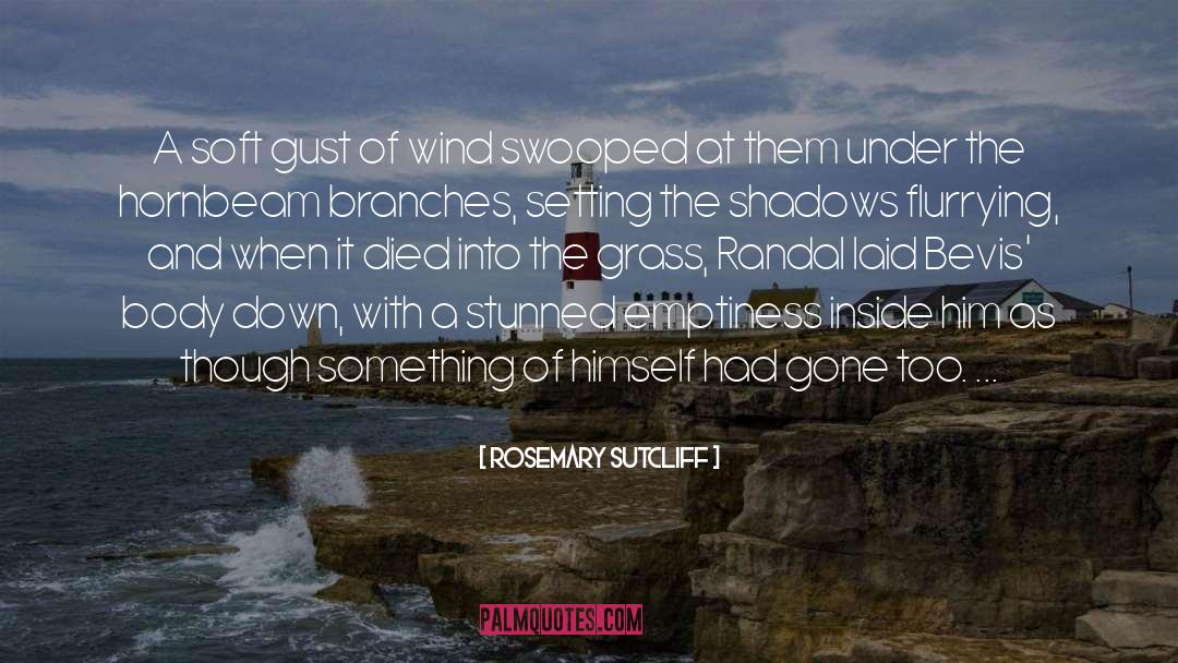 Emptiness Inside quotes by Rosemary Sutcliff