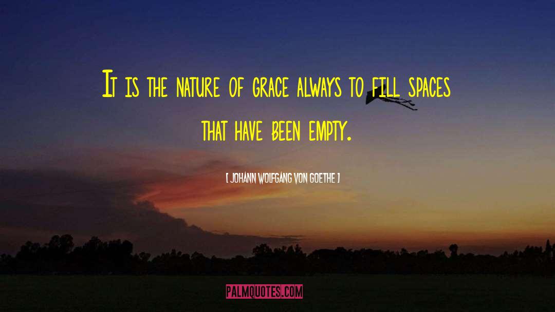 Empty Space quotes by Johann Wolfgang Von Goethe