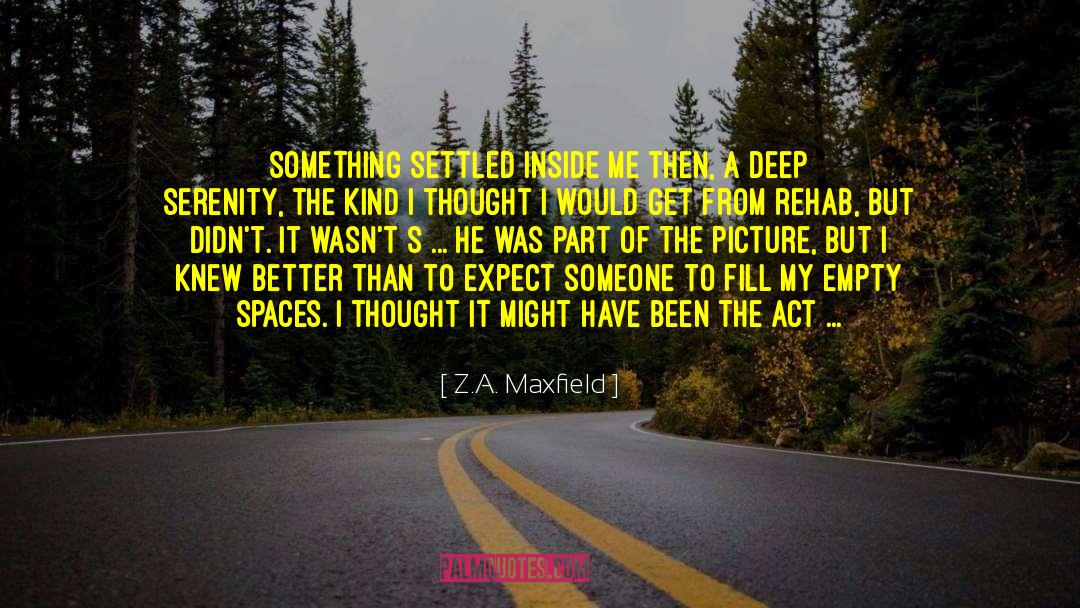 Empty Spaces quotes by Z.A. Maxfield
